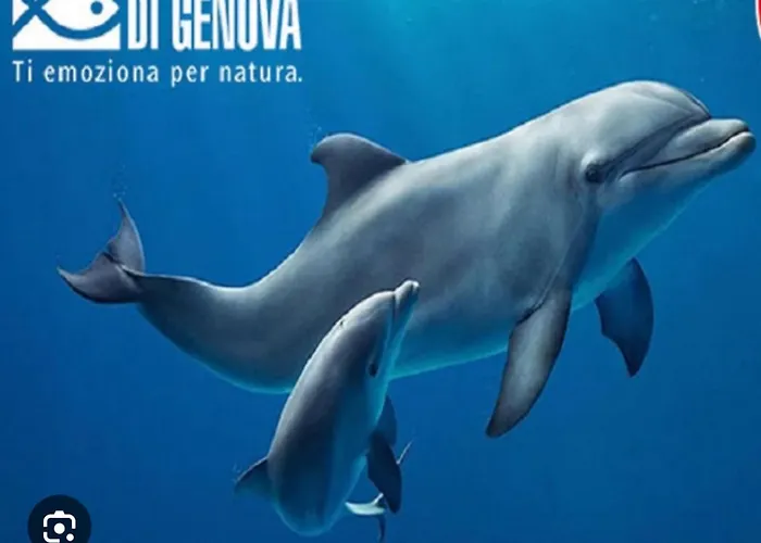 Feriehus Casa Mia Sea&center *